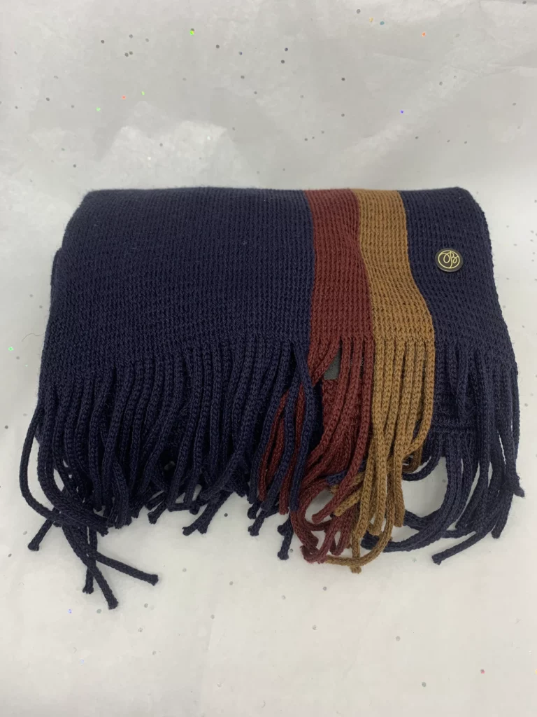 Echarpe Homme Wendel - bleue