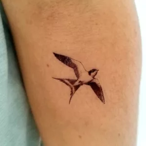 joli tatouage hirondelle éphémère, saint-ave, de jolies choses