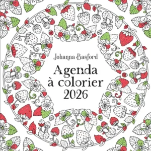 Cadeau agenda à colorier 2026, nouvel an, de jolies choses, vannes