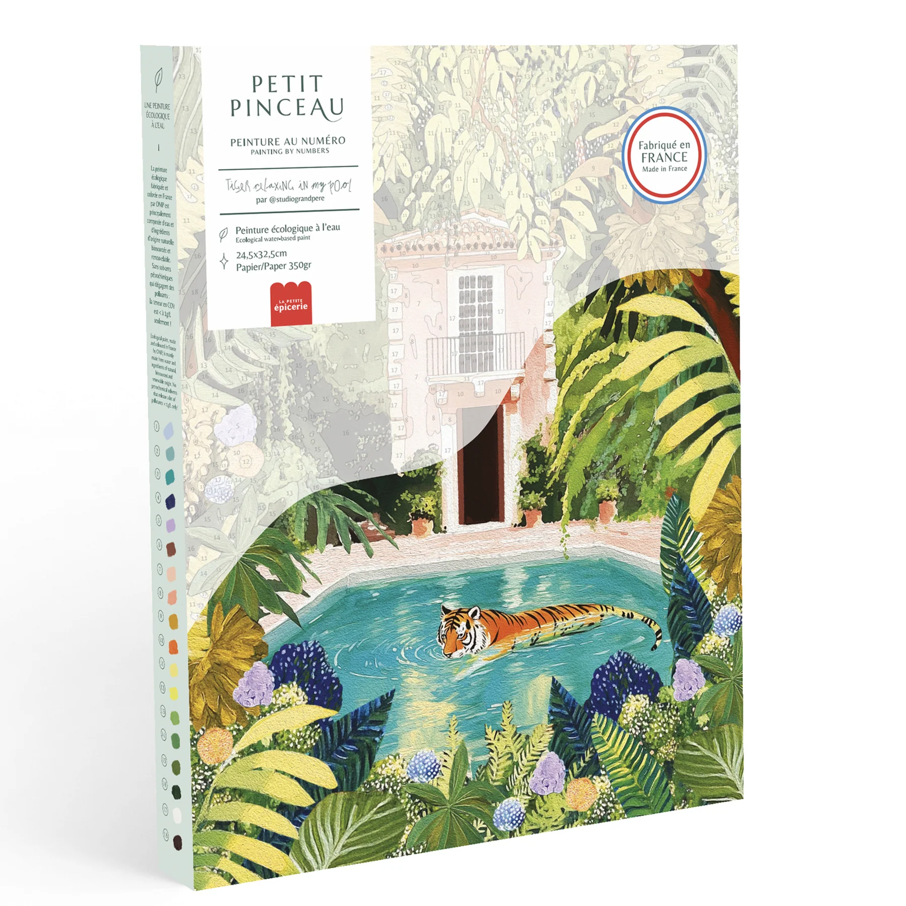 petit pinceau Tiger relaxing in my pool