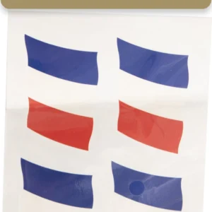 Tatouage Drapeau France - Lots de 4